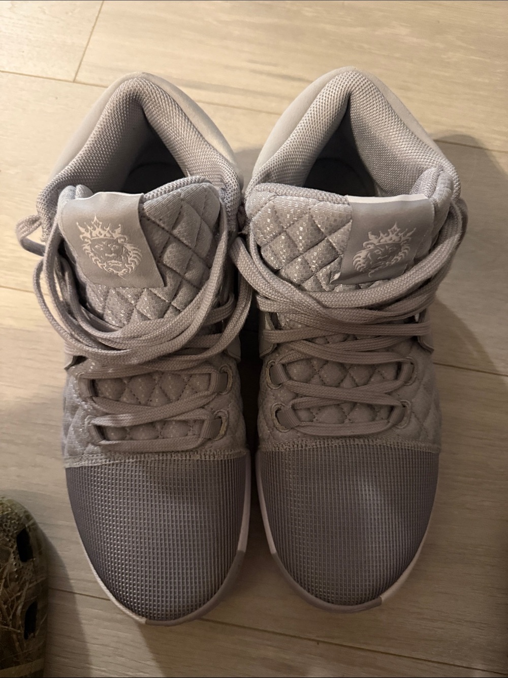 Nike LeBron James Witness VIII